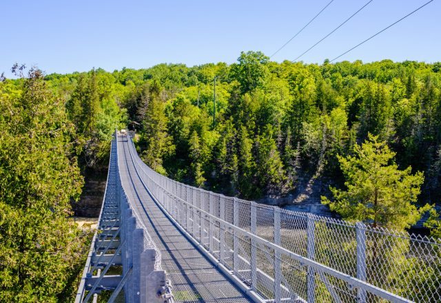 Ranney Gorge Suspension Bridge