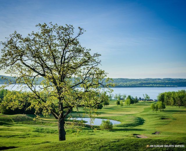 Bellmere Winds Golf Resort