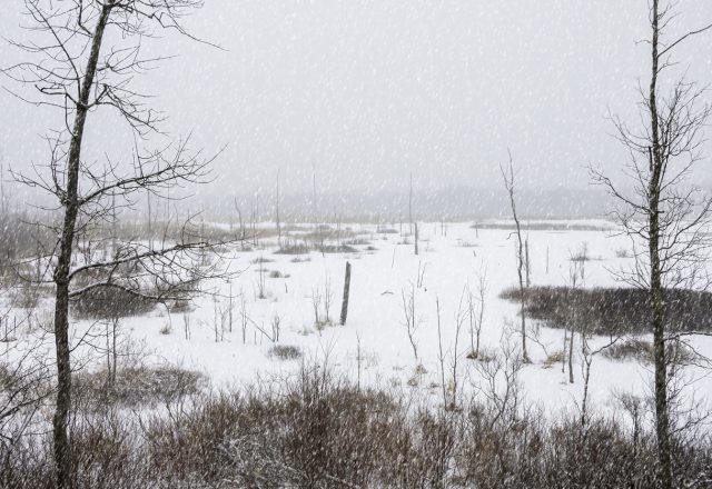 MacGregor Point Provincial Park