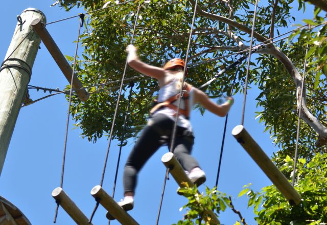 Treetop Trekking