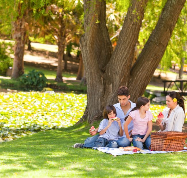 Stewart Park