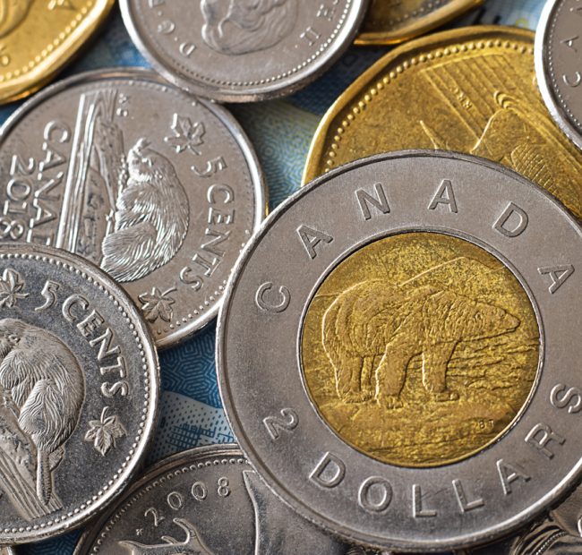 The Giant Toonie