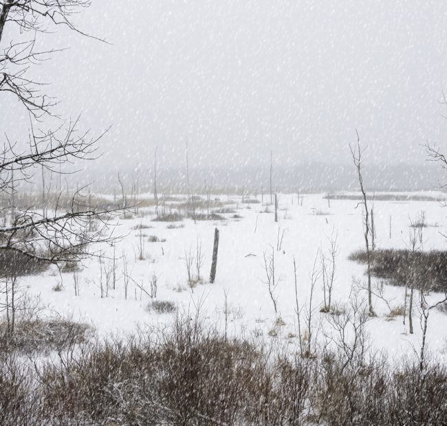 MacGregor Point Provincial Park