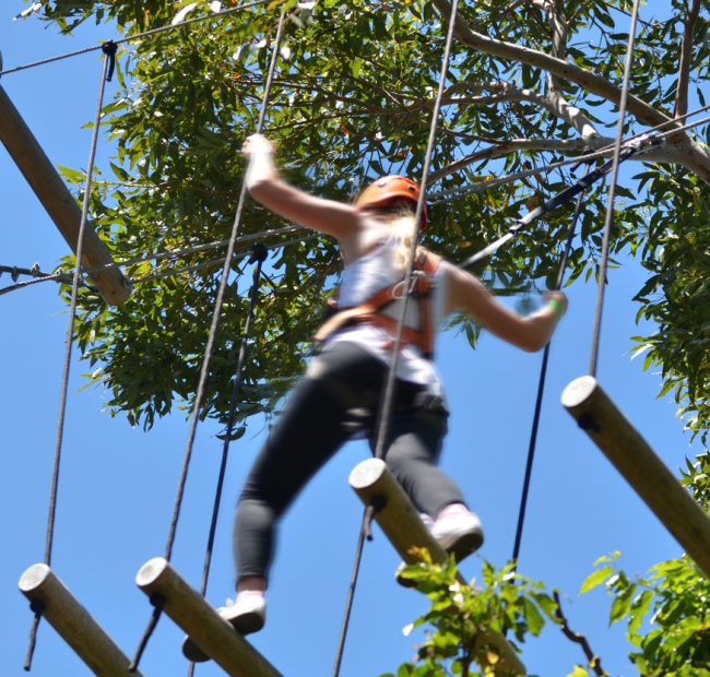 Treetop Trekking Ganaraska